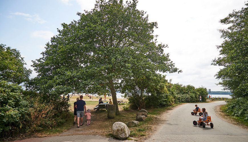 ga en tur med hunden rundt i naturen omkring pladsen